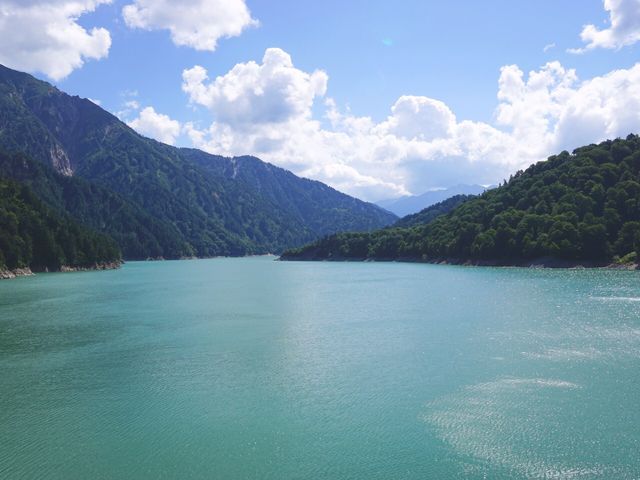 ������_������