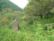 Ԃ񂳂̎Ox~т̓eʐ^1