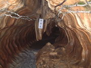 Ԃ񂳂̐畧ߓ̓eʐ^7