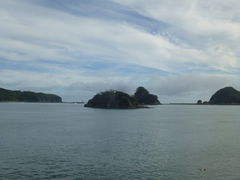 �ނ炳�񂳂�̂܂ǂ��l�C�V�����ւ̓��e�ʐ^1