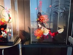 t^R̒Ҍ[pقւ̓eʐ^1