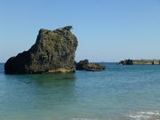 ނ炳񂳂̓cC݂̓eʐ^1