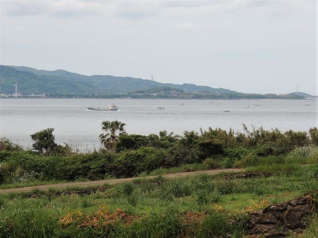 JOE����̒ʎ��C�݂ƒʎ����̓��e�ʐ^1