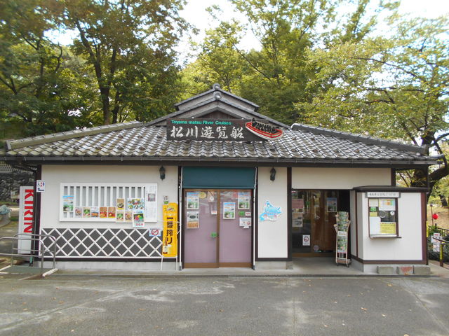 ����_����V���D