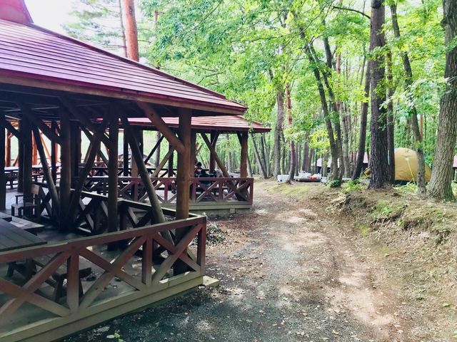 �J�̎��ɕ֗�_��J��_���t�H���X�g�p�[�N�E�y��  �L�����v��