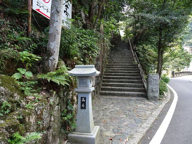 ���_�t�Βi_���_�t