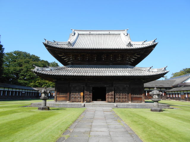 ������_������