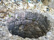 ��������̃T�o�u�����W�]�{�݂̓��e�ʐ^1