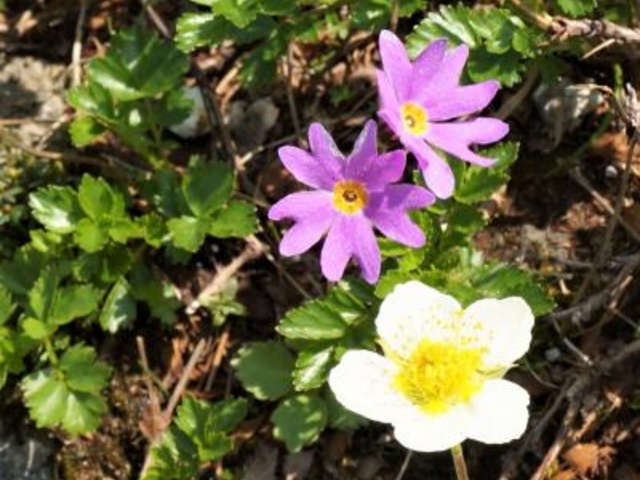 �G�]�R�U�N��_���x���R�T���H