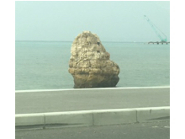 �߂��ɂ���q��΂ł�_�������E�~�J�W�e���X