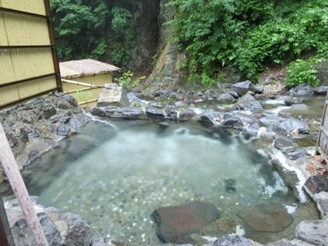 �j���ʘI�V���C_�啽����