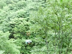 �ɂ��ǂ񂳂�̑啽����ւ̓��e�ʐ^1