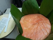 ЂłƂ̂܂̂{܌JRxRwX̓eʐ^1