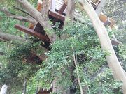 ݂񂳂̒֐XRi̓eʐ^1