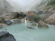 ɂǂ񂳂̉W@`̓eʐ^5