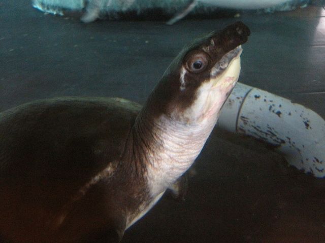 �h���畗�̃X�b�|�����ǂ�_�o�̎R�W����������