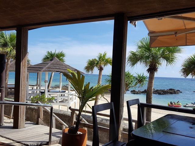 ���X�g��������̌i�F_�������]�[�g�΂���R��