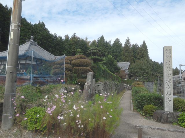 �T�r�L����̙y�_���̓��e�ʐ^2