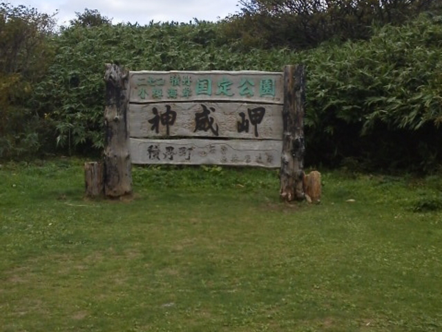 �������_�_�Ж�