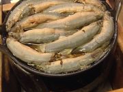 Saki98̋`ǂ aJX̓eʐ^1