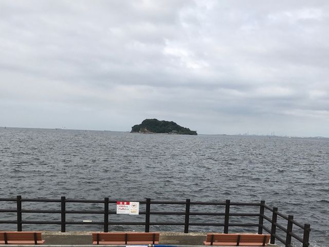 �C���������牎���������܂��I_���݂�������