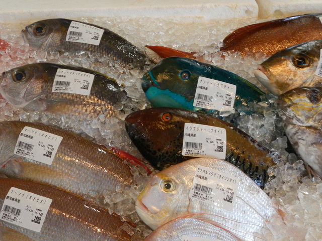 �F�N�₩_���̉w ���Ƃ܂�