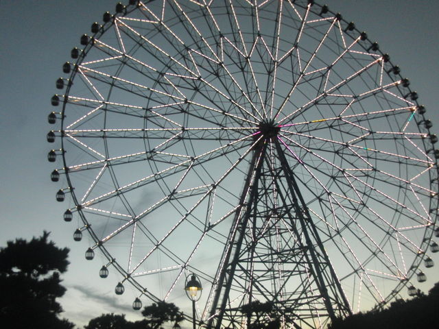 �[����������_�_�C���ƉԂ̑�ϗ���