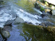 bV[̏@̑ V鍑ۖޏ̓eʐ^1