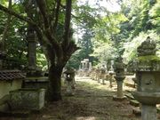 �ڂ肳��̋T��ƕ揊�̓��e�ʐ^6