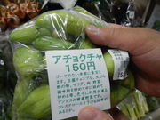 т񂳂̃gsJt@[܂Ԗʑ̓eʐ^1