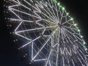 ܂Ȃ̃_CƉԂ̑ϗԂ̓eʐ^2