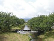 ڂ肳̋ʑ򗷊ًg̓eʐ^1