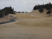 ܂Ȃ̖؍XÓJg[Nu̓eʐ^2