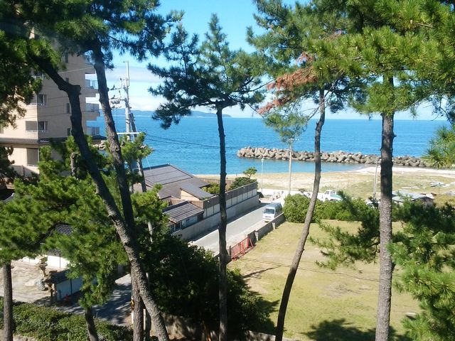 ���ۘp����]�ł��܂�_������