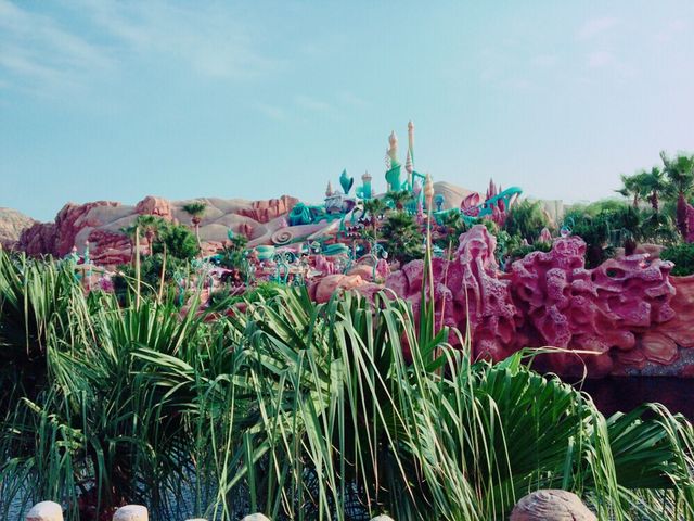 �}�[���C�h���O�[���ł�_�����f�B�Y�j�[�V�[(R)