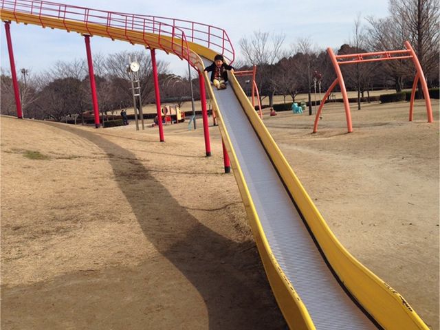 ς񂳂̗鎭t[p[N̓eʐ^1