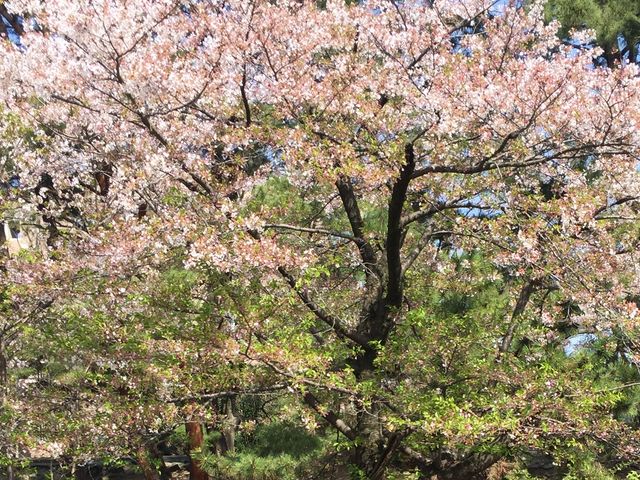 �g������̍�_�g��͐�~�Βn�i�g������j