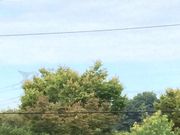 Ȃ䂫̃X^[obNXER[q[ JCYz[߃X̓eʐ^1