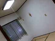 悵߂̃IEUEr[`E[̓eʐ^4