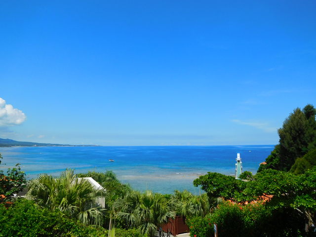 eX́ACW]݂܂_× JtFeX