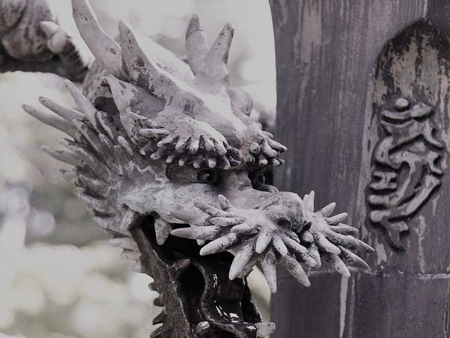 �������ꂢ�ɁI_���ʎR������