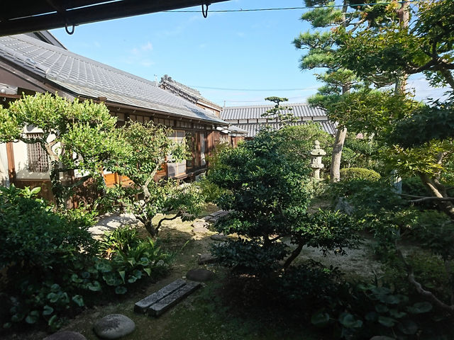 ����_����h������