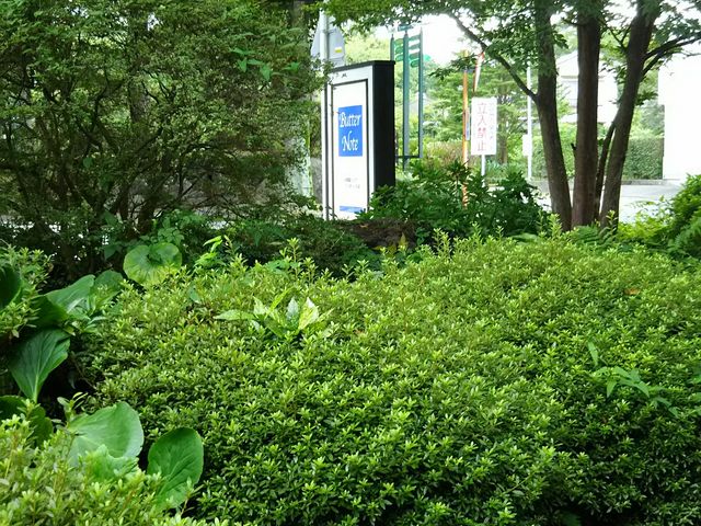 O̊Ŕ_o^[m[g(BUTTERNOTE)