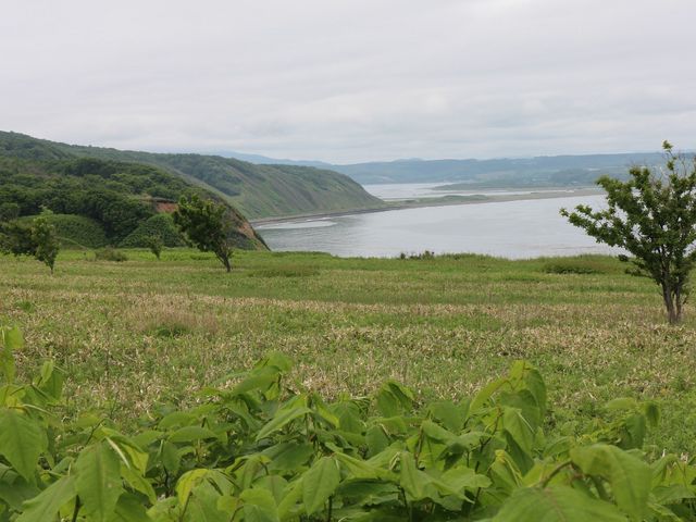 �����������_�\�斦�C��