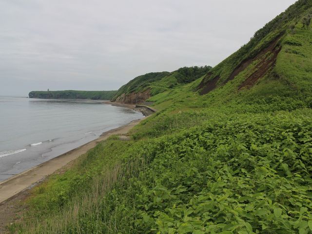 �g���l����ʉ߂��Ė�������_�\�斦�C��