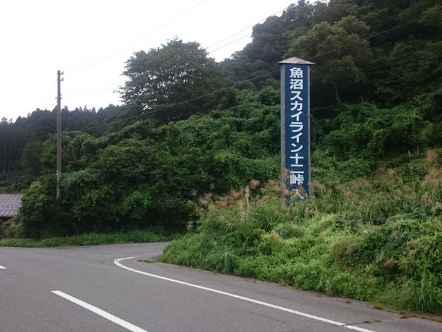 ���̊Ŕ��ڈ�ł�_�����X�J�C���C���i�\�񓻓����j