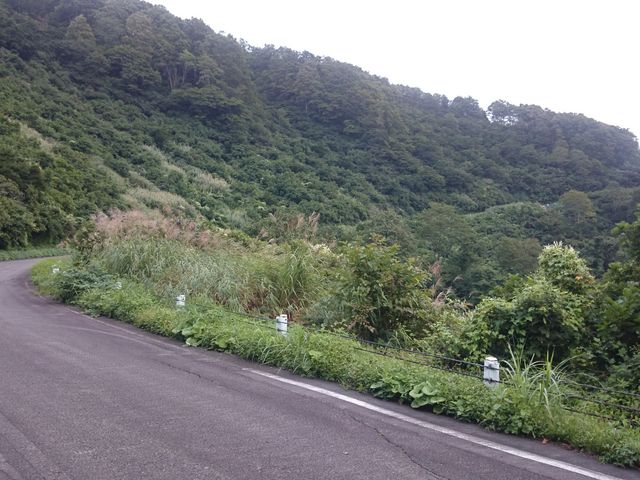 ���X�A�����ꏊ������܂�_�����X�J�C���C���i�\�񓻓����j