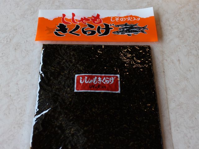 �����̎����肫���炰_���̉w ���X�X���ԑ�