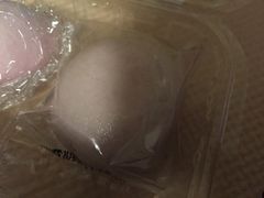 �Ђ낳��̐؏������a�̎R�{�X�ւ̓��e�ʐ^1