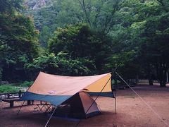 あゆゆさんの山野峡キャンプ場の投稿写真1